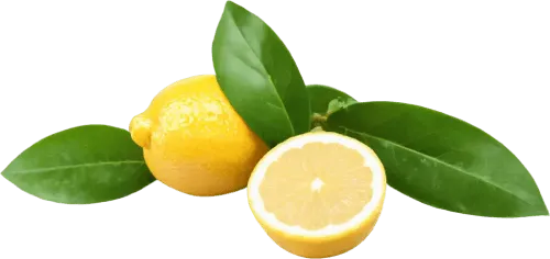 Vitamin C - to gently protect and nourish the skin & moisturize nails cuticles.