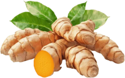 Guggul Resin, Turmeric Rhizome & Bitter Melon - a powerhouse trio compound which works to support your skin, heels, nails and overall foot health